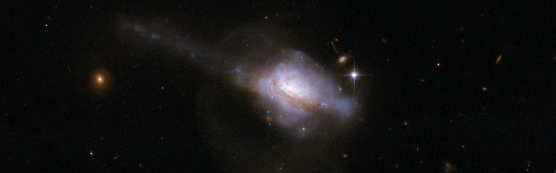 El sistema UGC 5101 está formado por dos galaxias en proceso de coalescencia. La fusión de galaxias deja tras de sí estructuras que conservan durante mucho tiempo información sobre las circunstancias del choque y parece haber desempeñado un papel relevante en la formación del halo de nuestra galaxia. [NASA, ESA, Colaboración Hubble Heritage (STScI/AURA)-ESA/Hubble y A. Evans (Universidad de Virginia en Charlottesville/NRAO/Universidad de Stony Brook)]